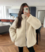 Autumn Oversized Zip Front Jacket for Women